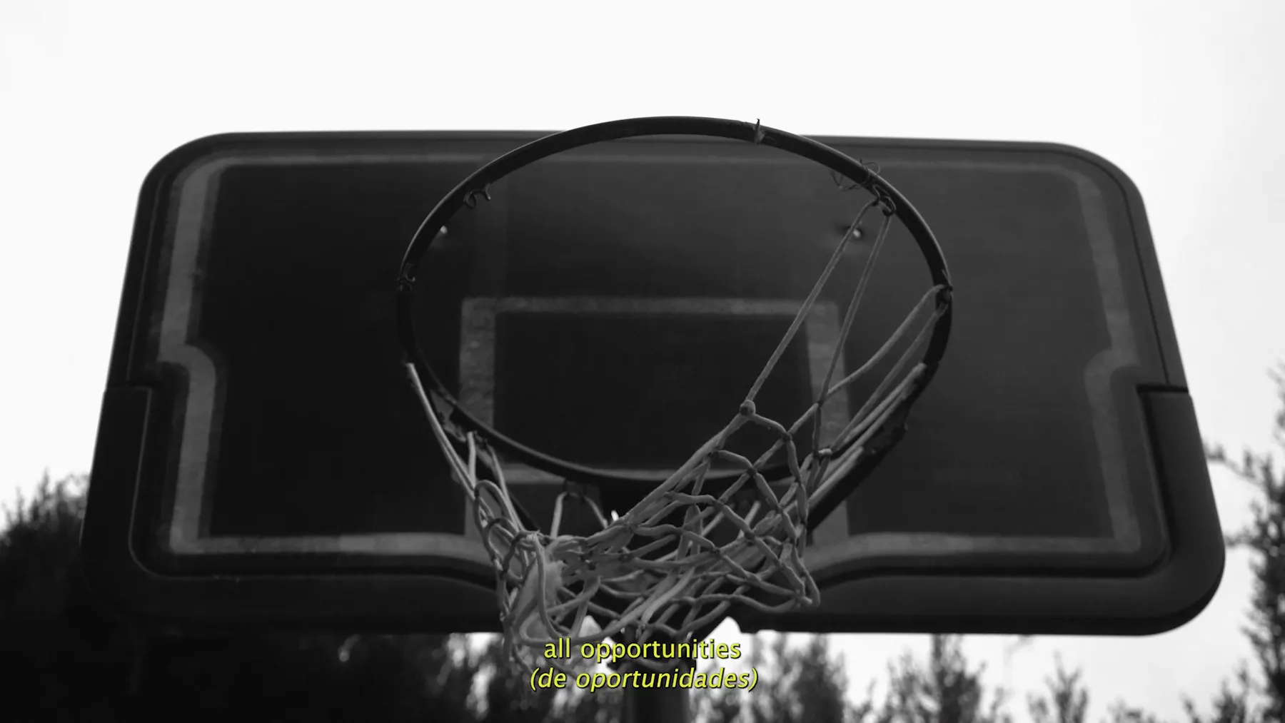 Canasta de baloncesto: todas las oportunidades